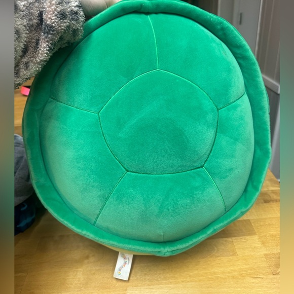 Henry 16” turtle - Picture 2 of 2